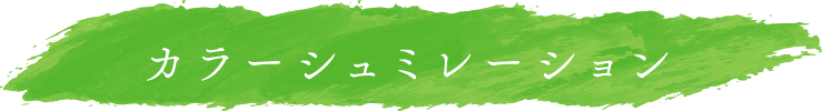 カラーシュミレーション