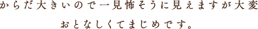 からあだが大きいので一見怖そうに見えますが大変おとなしくてまじめです。